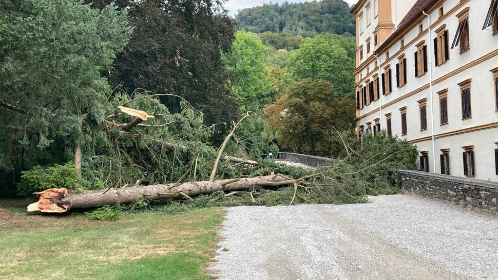 Schwere Sturmschäden in Schloss Eggenberg Park teilweise gesperrt in 5