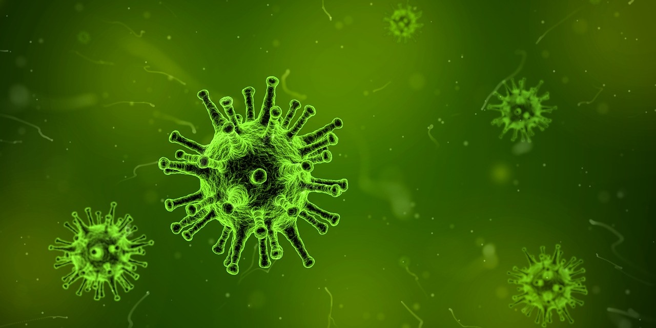 Der Coronavirus hat laut Experten bereits tausende Menschen in China infiziert. Auch etliche Todesfälle habe die neuartige Lungenkrankheit gefordert.