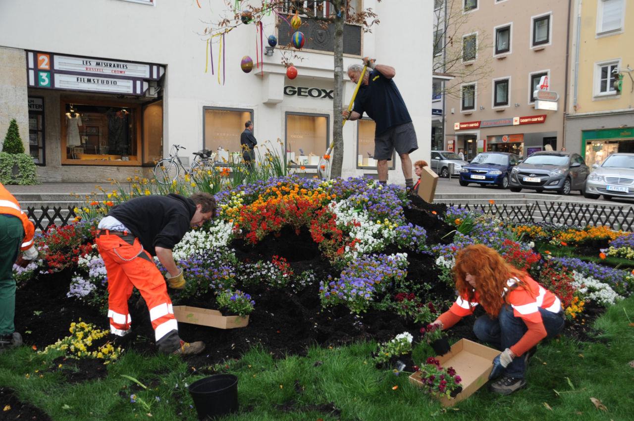Die Mitarbeiterinnen und Mitarbeiter des Villacher Stadtgartens bauen am 2. Mai die Frühlingslandschaft auf dem Rathausplatz ab. Die Blumen werden von Vizebürgermeisterin Dr.in Petra Oberraumer an die Passanten verschenkt.