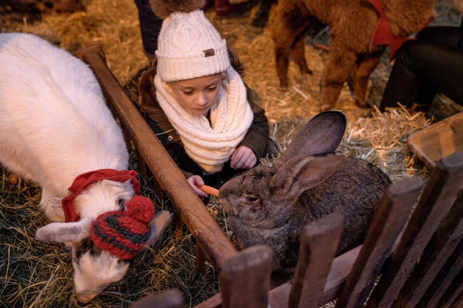 Auch der beliebte Streichelzoo und das Ponyreiten verkürzen am Villacher Advent das Warten aufs Christkind.