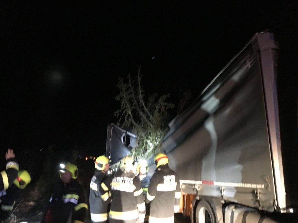 Ein LKW wurde von einem Baum getroffen.