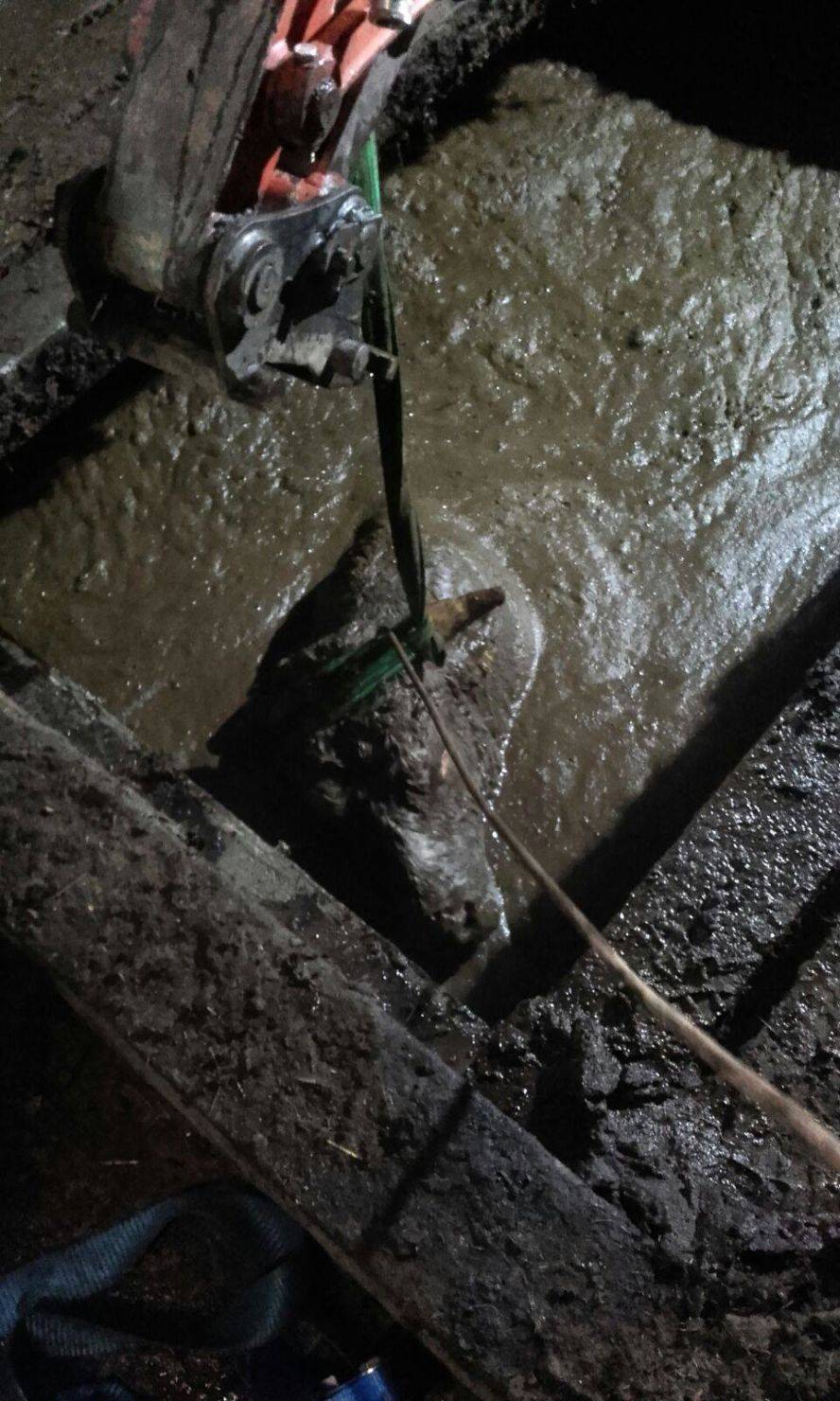 Aus unbekannter Ursache stürzte ein Stier in die Güllegrube eines Kerschdorfer Bauern und musste von den Einsatzkräften geborgen werden.