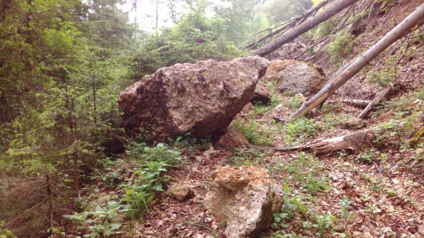 Ca. 300 Tonnen Gestein stürzten bei Gurnitz ab und sorgten für Entwurzelungen der darunterliegenden Waldschneise.