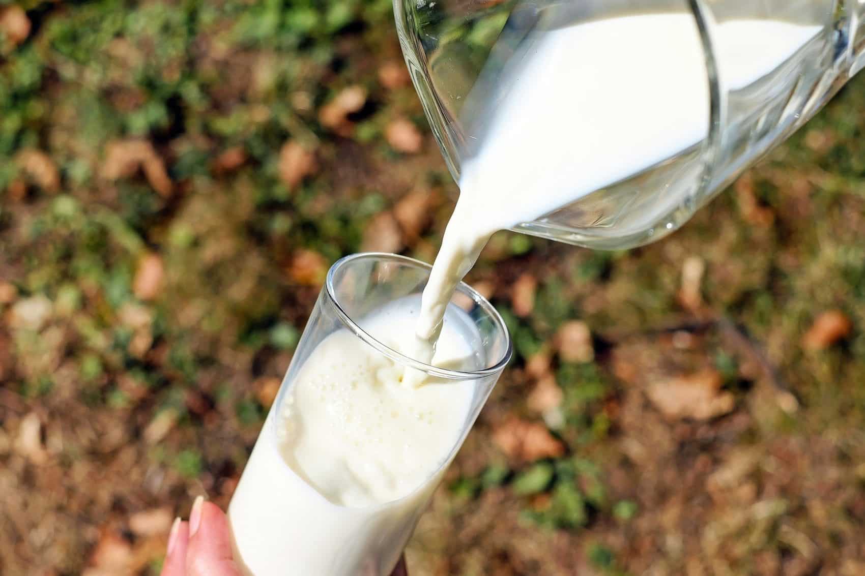 Alle 20 Milchprodukte überzeugen geschmacklich und qualitativ.