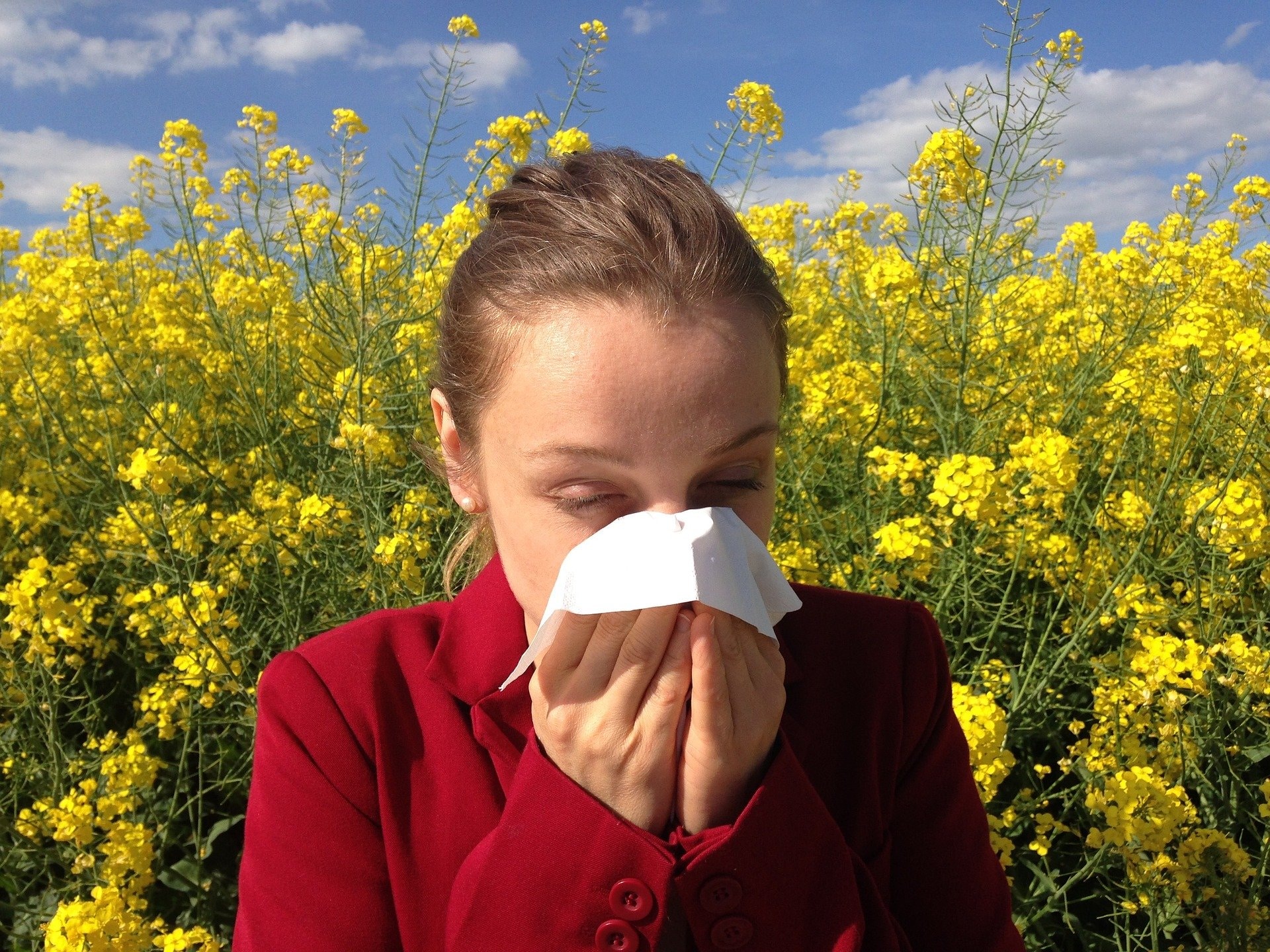 Allergiker sollten schwere Arbeiten im Freien während starker Pollenbelastung, wenn möglich, vermeiden.