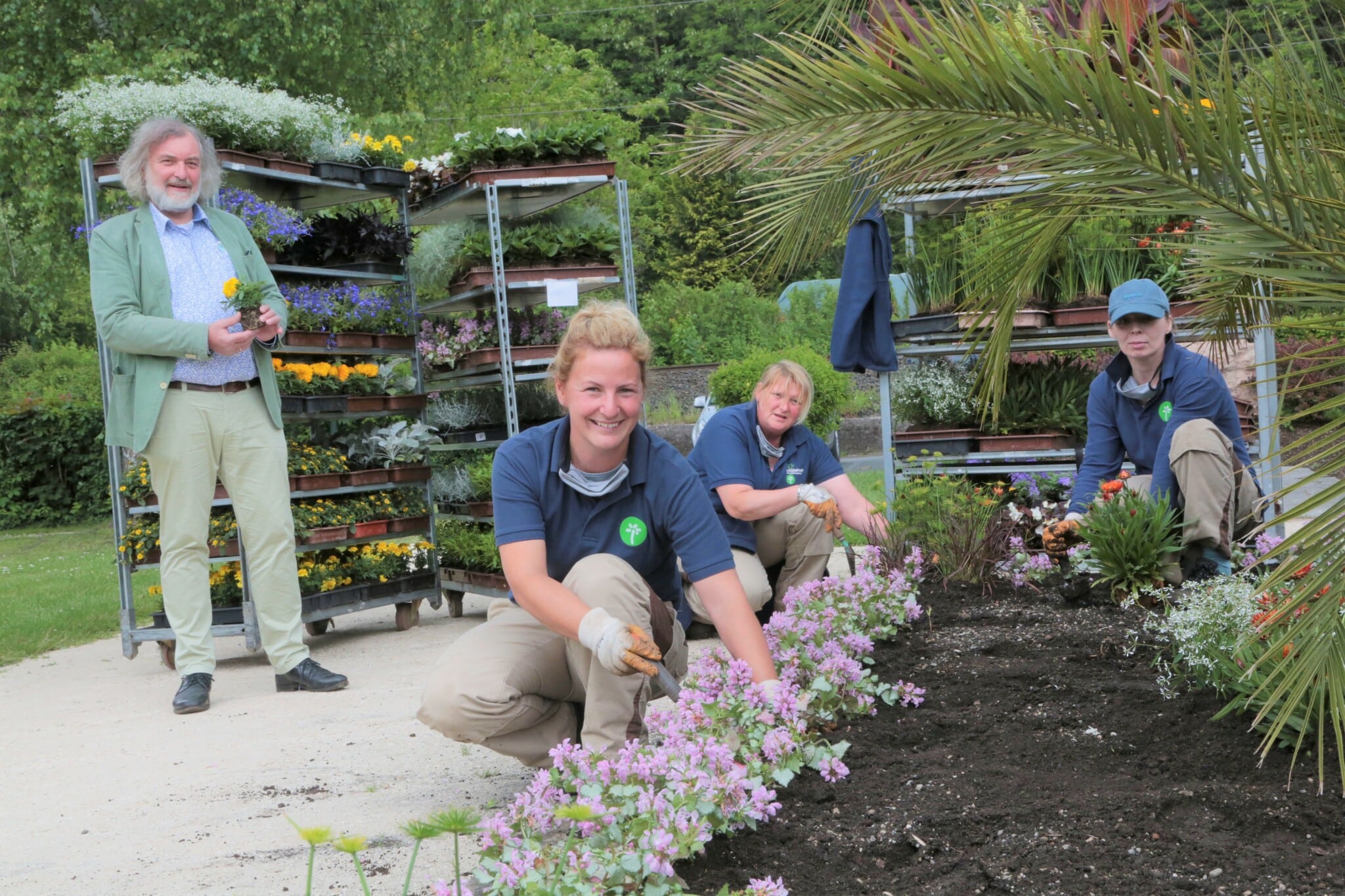 Stadtgartenreferent Stadtrat Frank Frey hilft dem Team der
Stadtgärtnerinnen beim Aussetzen der Sommerblumen.