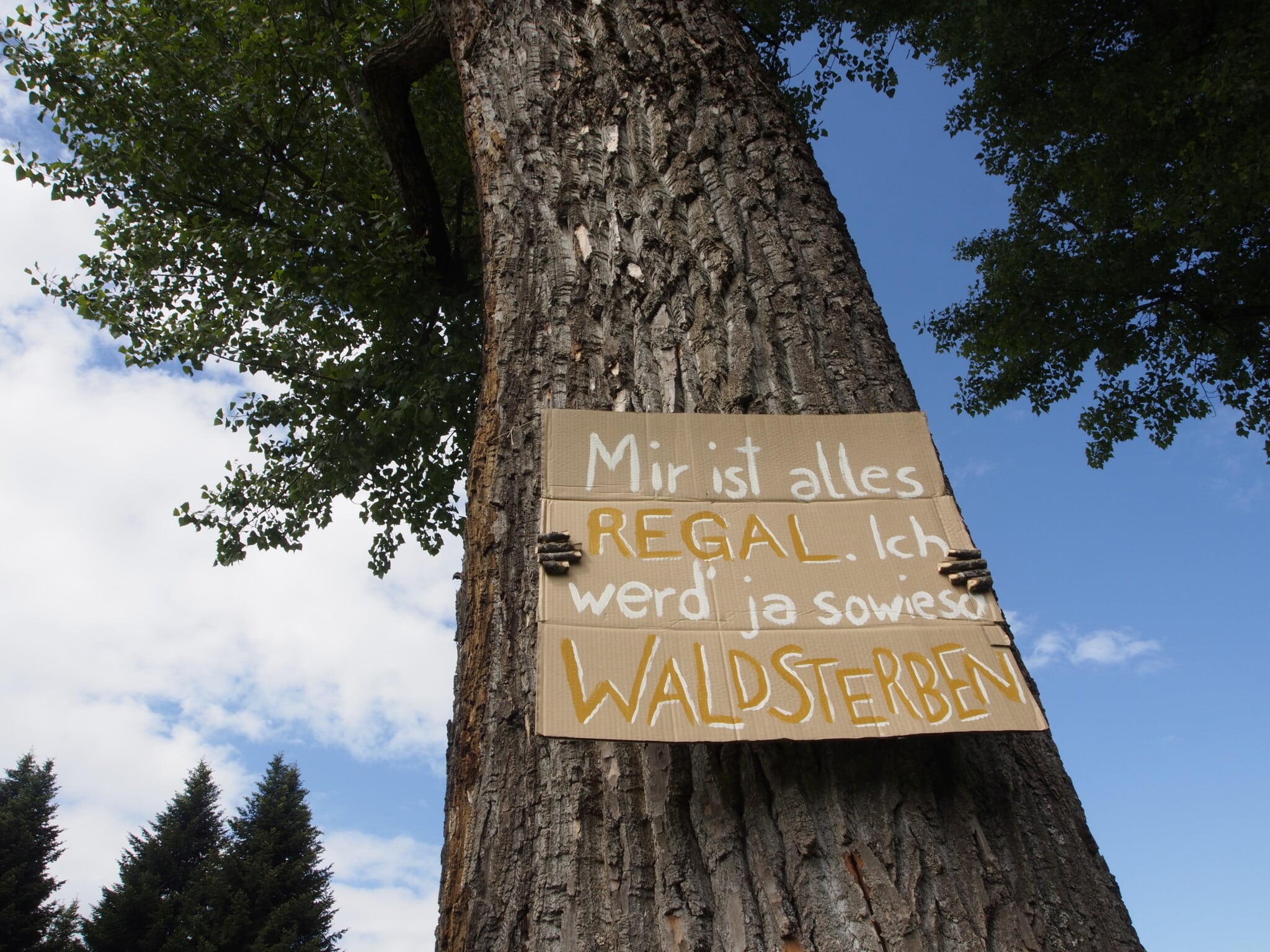 Die Aktion #aufbäumen von Extinction Rebellion findet in ganz Österreich statt.