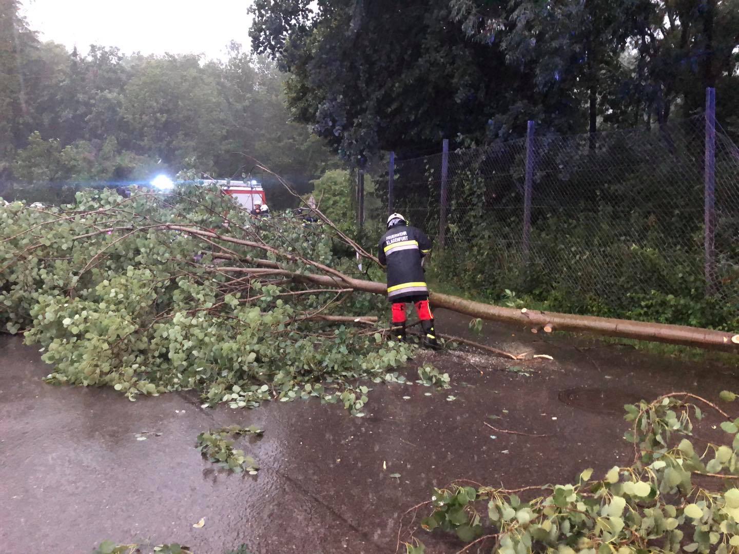 Umgestürzte Bäume, wie bei einem der heutigen Einsätze der FF Haidach, sind nach den heutigen Gewittern in vielen Teilen Kärntens zu sehen.
