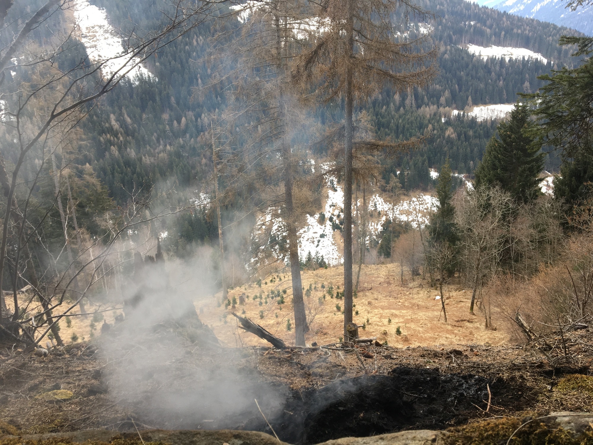 Ein Wanderer entdeckte heute Morgen den Schwelbrand im Waldstück.