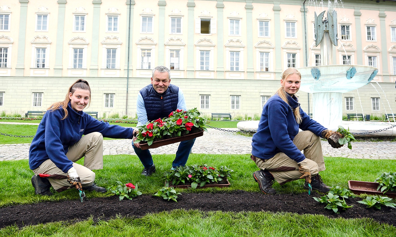 Stadtrat Max Habenicht besucht das Team der Abteilung Stadtgarten
bei der Sommerblumenpflanzung.